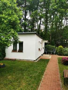 Ferienbungalow im Igelbau